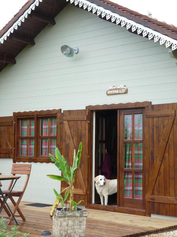 Bed and Breakfast Le Trot'In Chair Martigny-le-Comte Номер фото