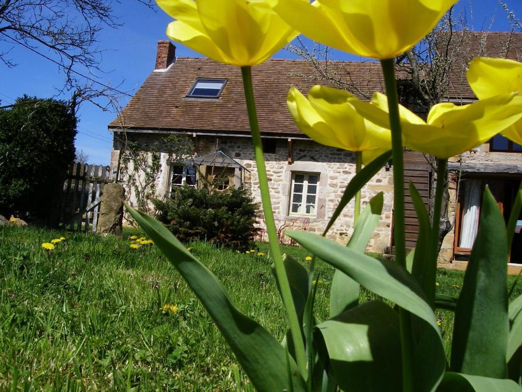 Bed and Breakfast Le Trot'In Chair Martigny-le-Comte Экстерьер фото