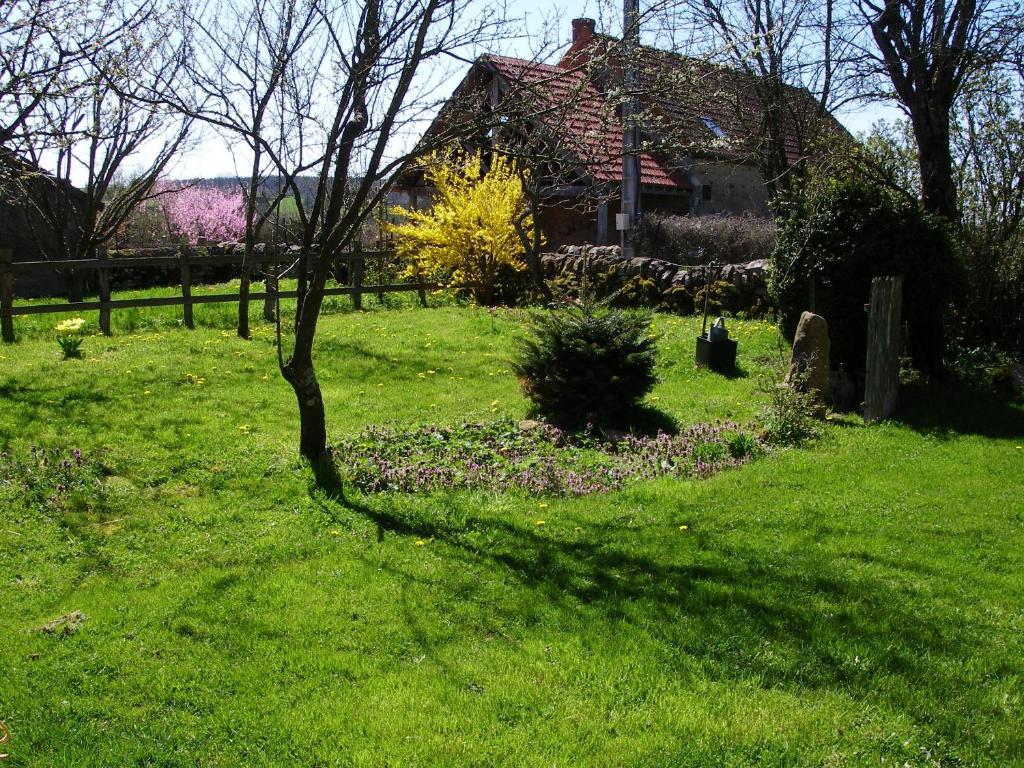Bed and Breakfast Le Trot'In Chair Martigny-le-Comte Экстерьер фото